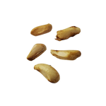 Granatowiec Właściwy – Nasiona