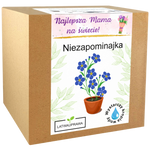 Niezapominajka – Dla Mamy
