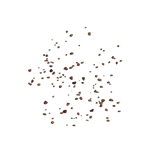 Żywe Kamienie – Nasiona