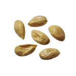 Drzewko Pomarańczowe – Nasiona