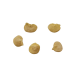 Trinidad Scorpion – Nasiona