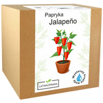 Papryka Jalapeño
