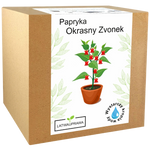 Papryka Okrasny Zvonek