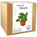 Bazylia
