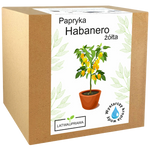 Papryka Habanero Żółta
