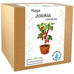 Papryka Bhut Jolokia