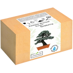 Świerk Srebrny Bonsai