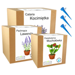 Mix zestawów do uprawy odstrasza komary antykomar