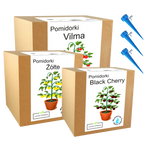 Mix zestawów do uprawy pomidory koktajlowe nasiona