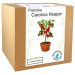 Papryka Carolina Reaper