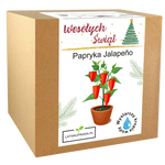 Papryka Jalapeño - Święta