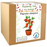 Zestaw do uprawy papryki Jalapeno – pikantny prezent dla najlepszego taty.