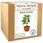 Zestaw do uprawy kawy arabskiej – idealny prezent dla najlepszego mężczyzny.