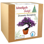 Drzewko Szczęścia - Święta