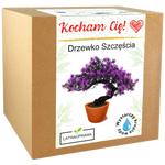 Zestaw do uprawy Drzewka Szczęścia w pudełku z napisem „Kocham Cię!” – idealny prezent dla bliskiej osoby.