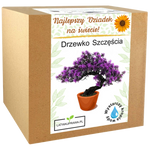 Zestaw do uprawy drzewka szczęścia – oryginalny prezent dla najlepszego dziadka.