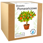 Pomarańcza