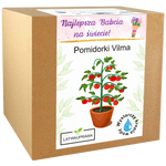 Pomidorki koktajlowe Vilma - Dla Babci