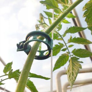 Klipsy do pomidorów