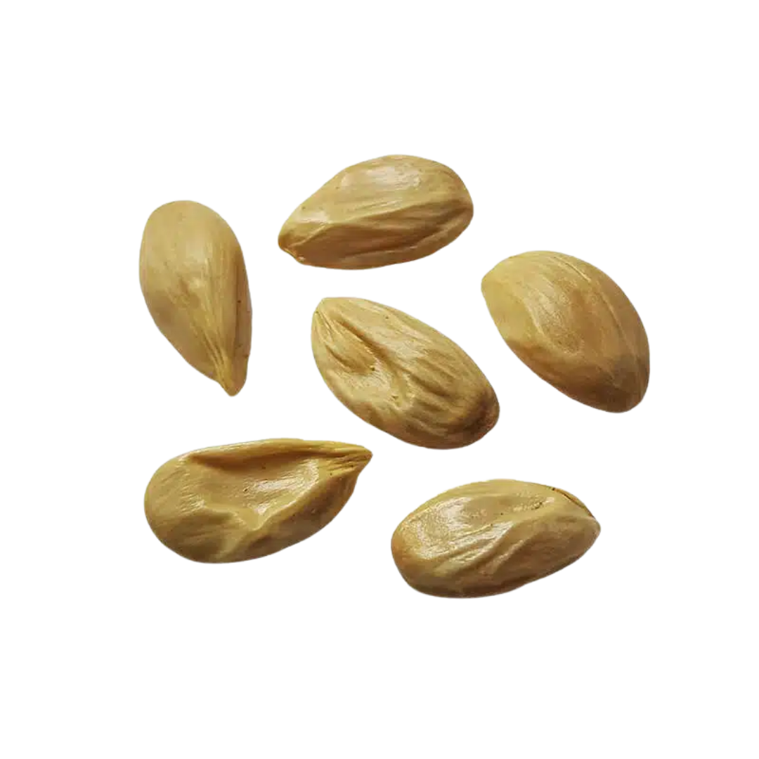 Drzewko Pomarańczowe – Nasiona