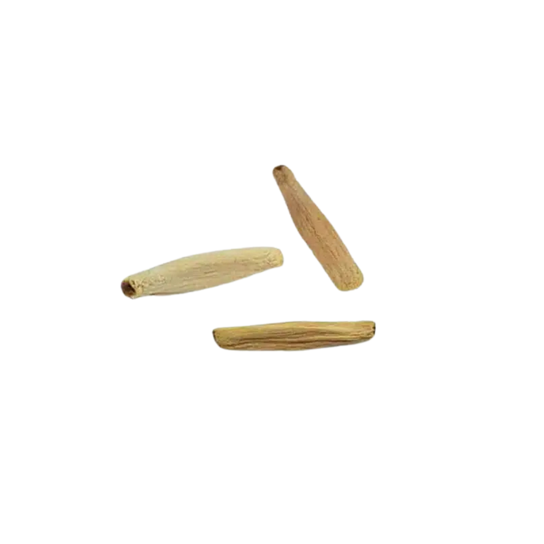 Glicynia Chińska – Nasiona