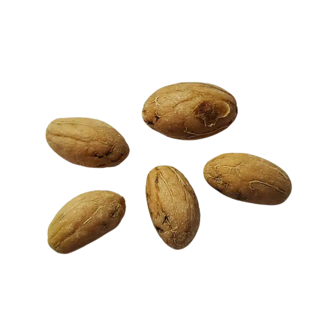 Drzewko Oliwne – Nasiona