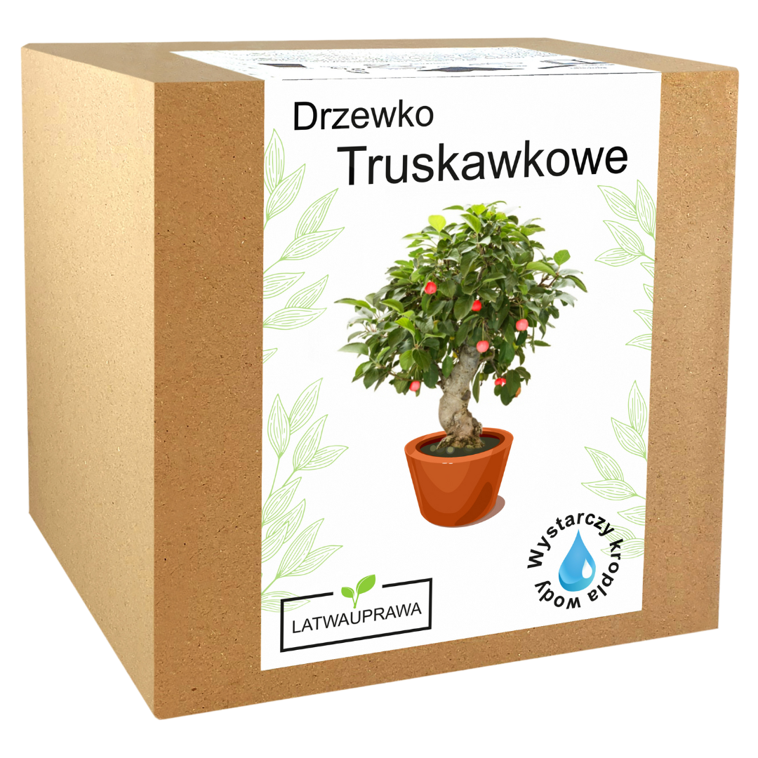 Drzewko Truskawkowe