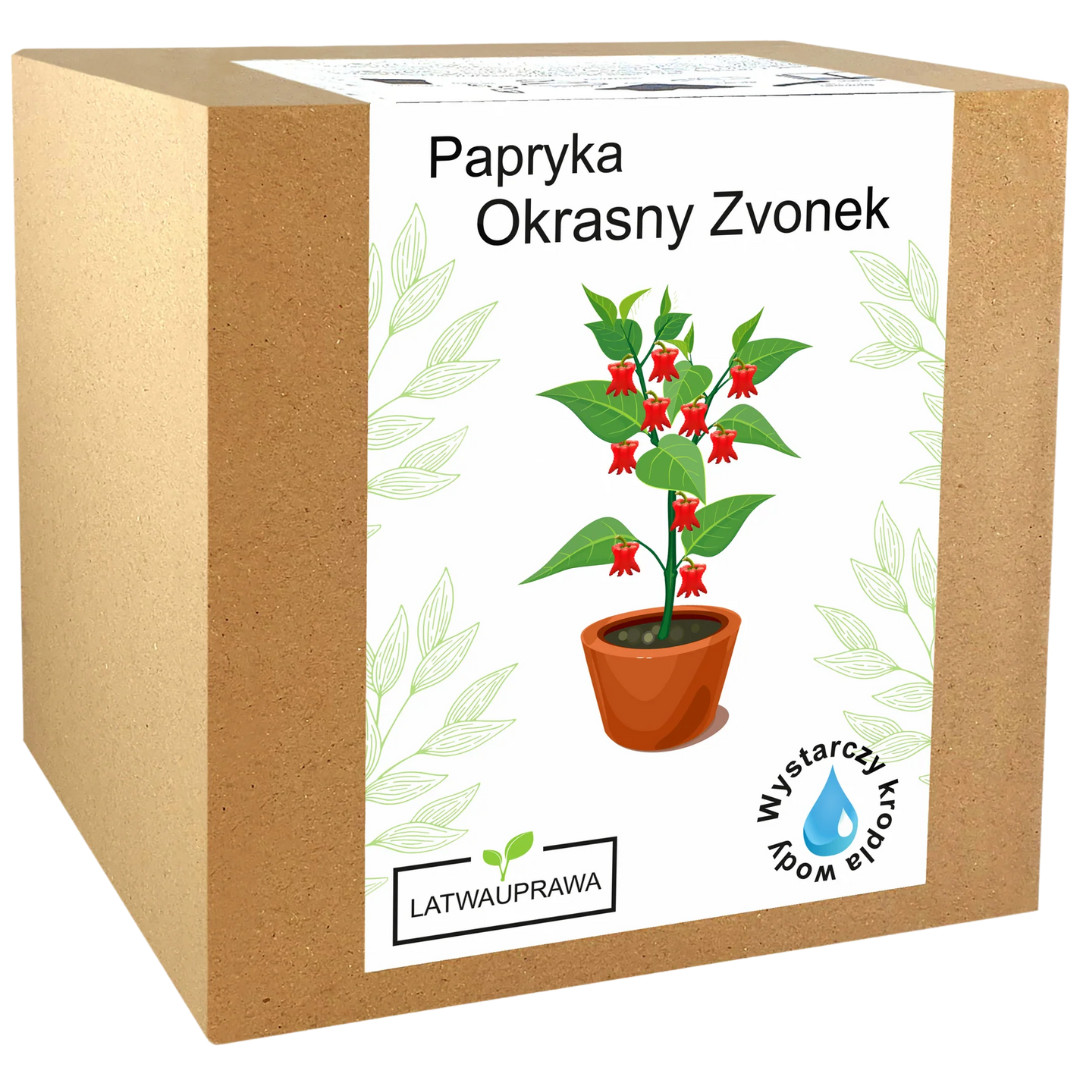 Papryka Okrasny Zvonek