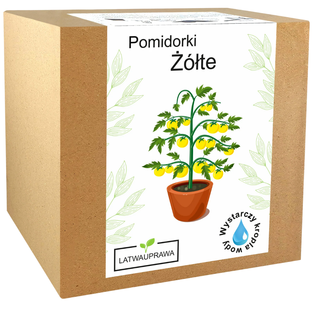 Pomidorki koktajlowe żółte