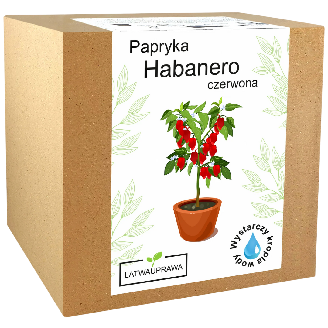 Papryka Habanero Czerwona