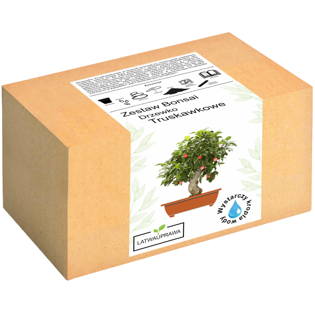 Drzewko Truskawkowe Bonsai