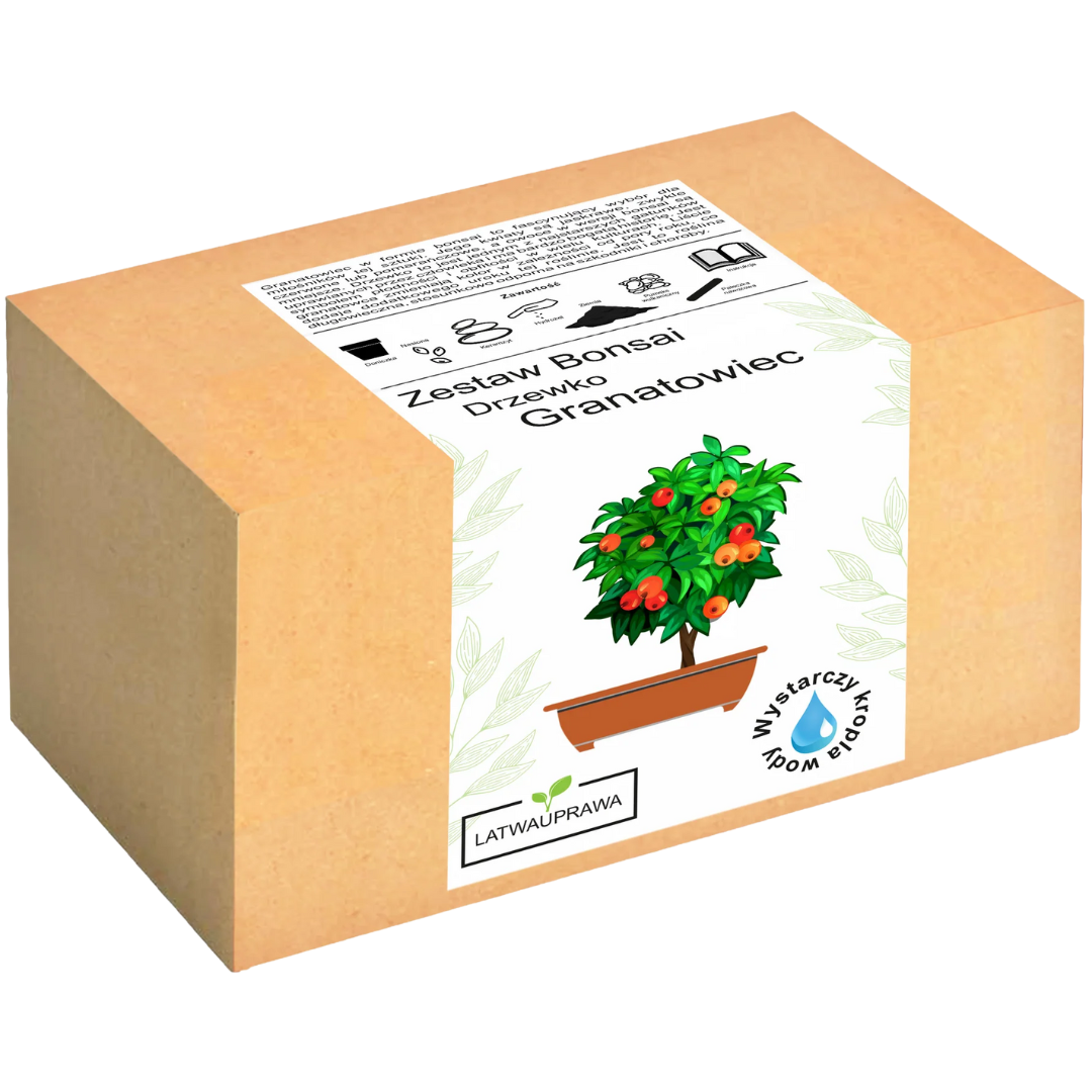 Granatowiec Właściwy Bonsai