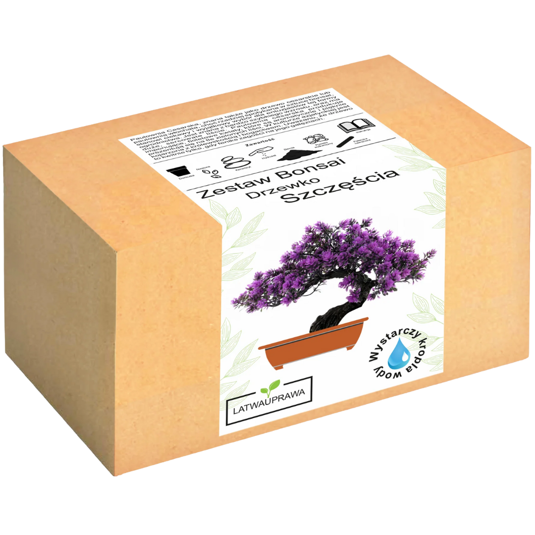 Drzewko Szczęścia - Zestaw Bonsai