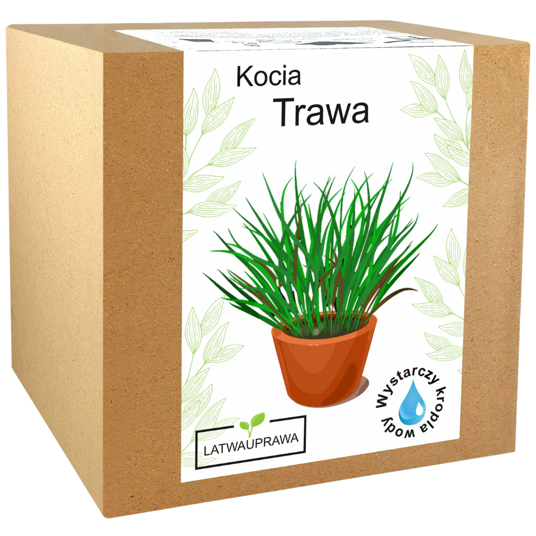 Kocia Trawa