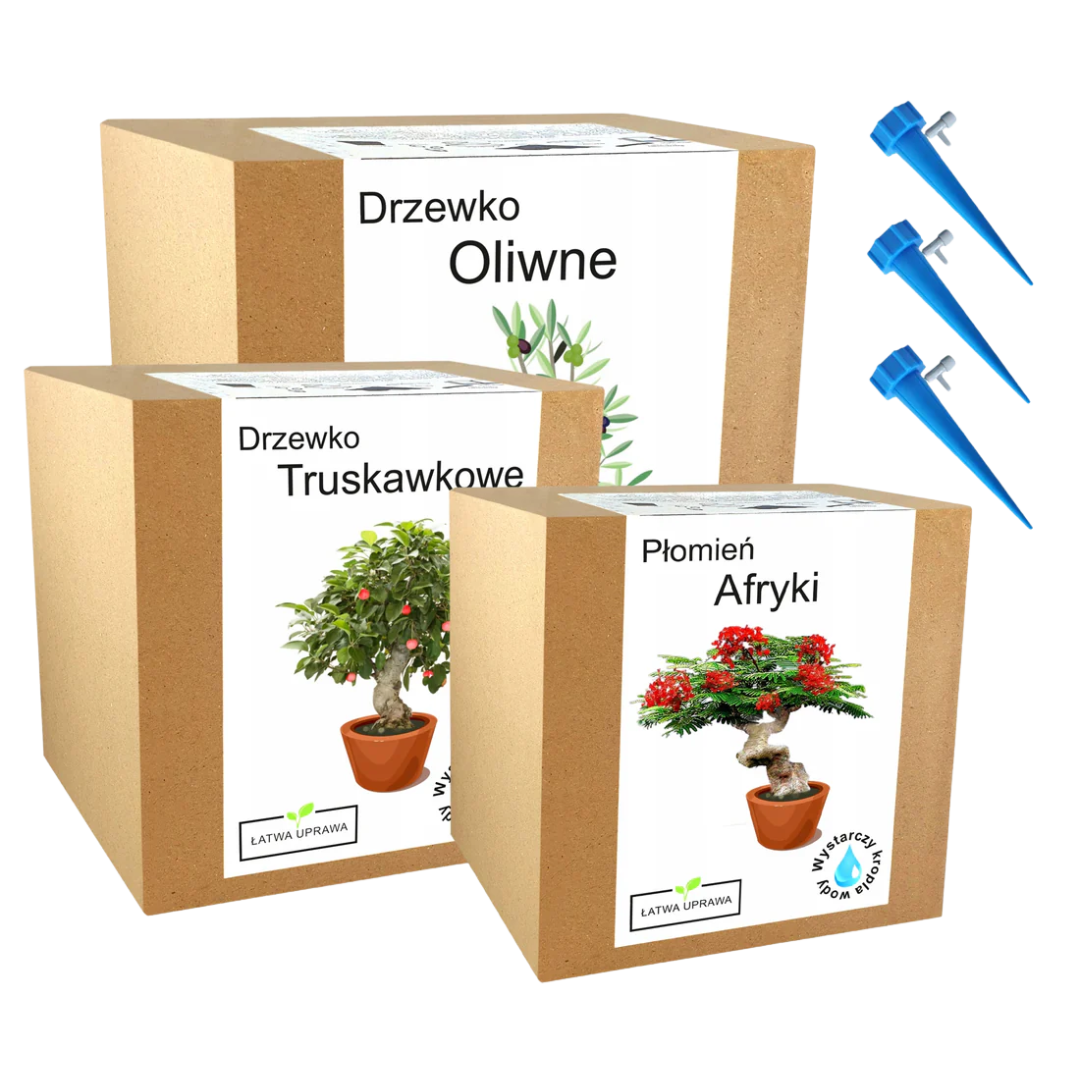 Mix zestawów do uprawy drzewa ozdobne afryki kwiat