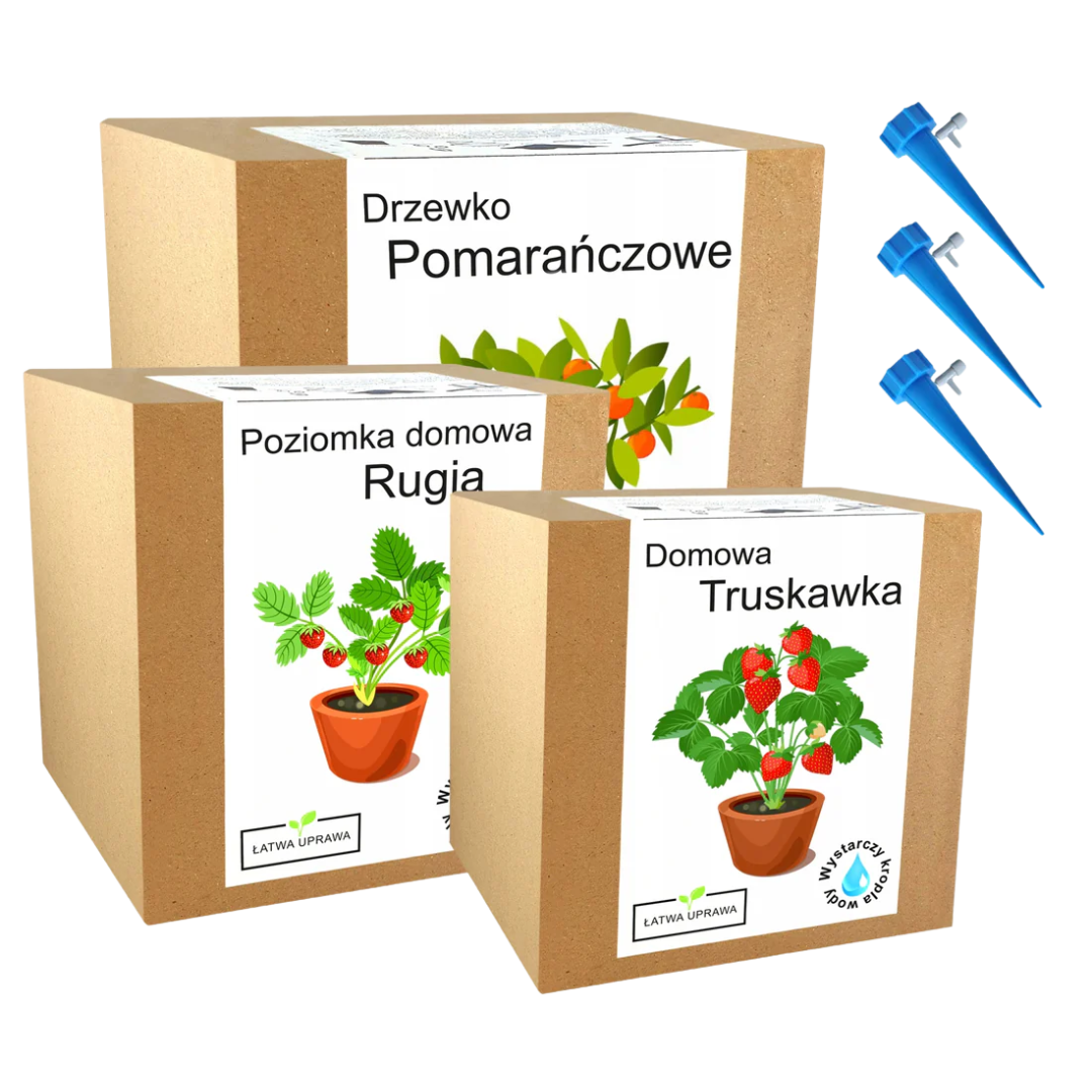 Mix zestawów do uprawy drzewka owocowe rośliny