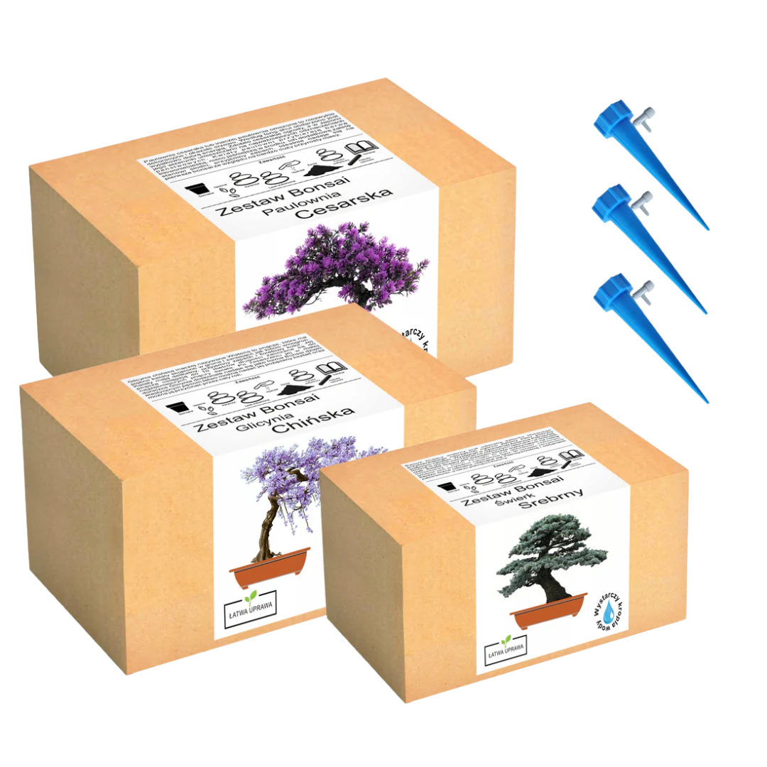 Mix zestawów do uprawy drzewko bonsai szczęścia