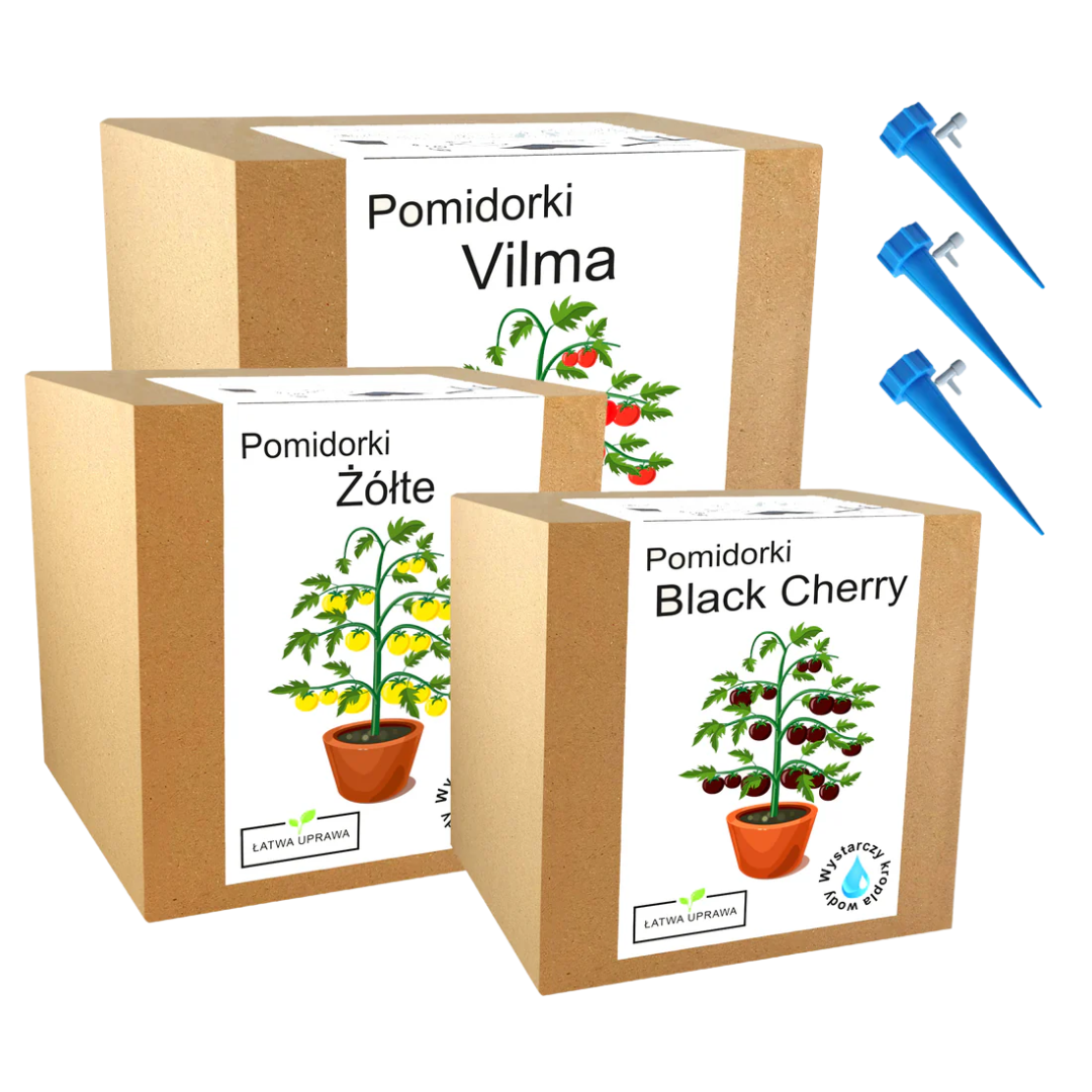 Mix zestawów do uprawy pomidory koktajlowe nasiona