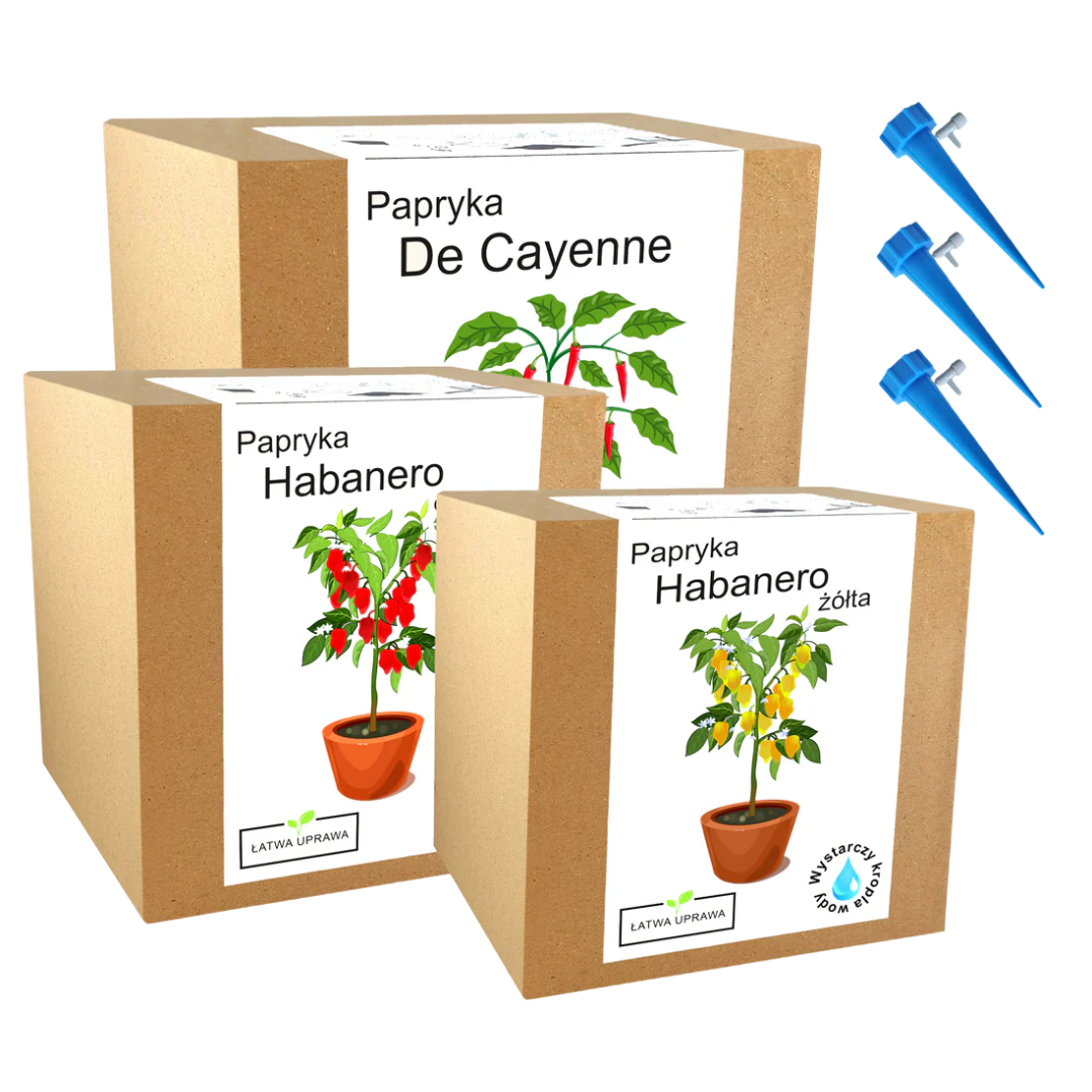 Mix zestawów do uprawy świeże ostre papryki chili
