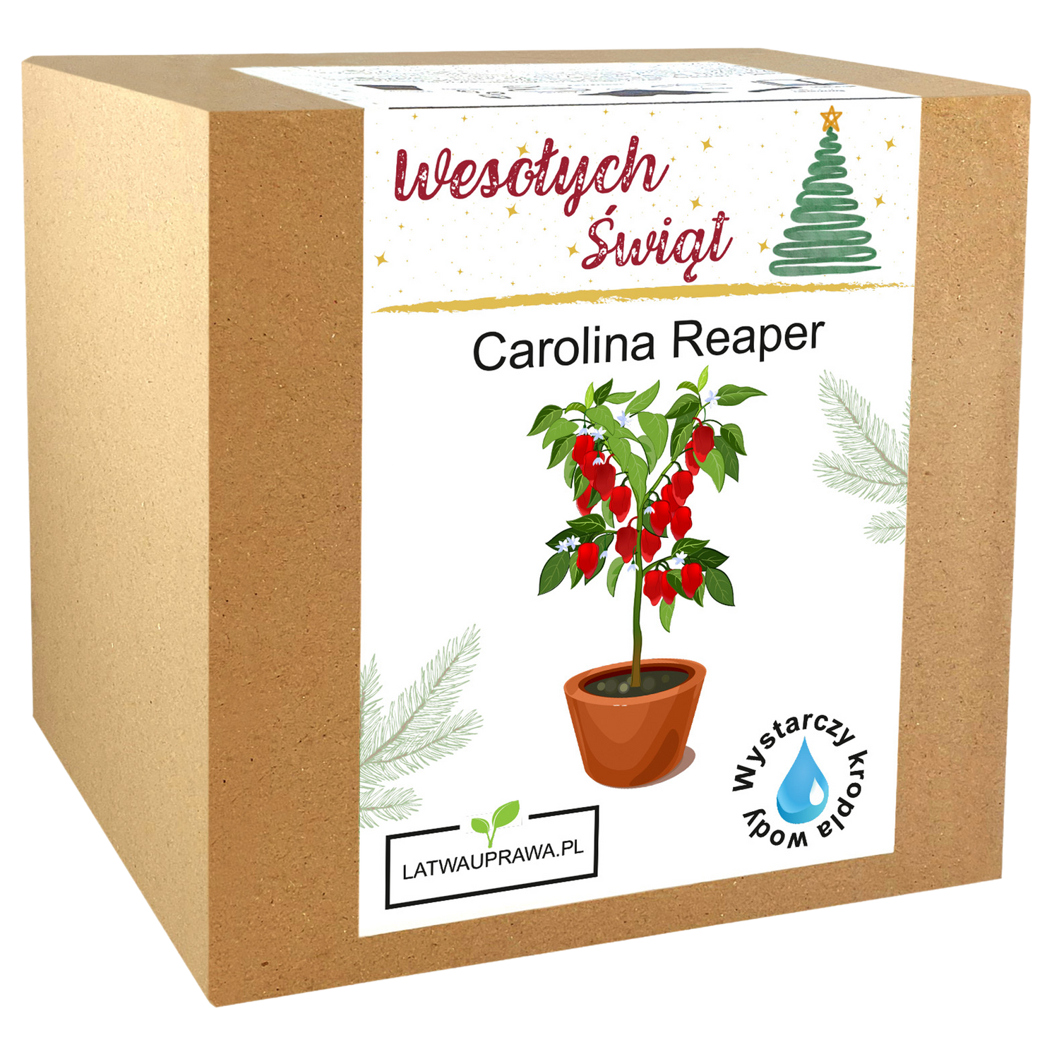 Papryka Carolina Reaper - Święta