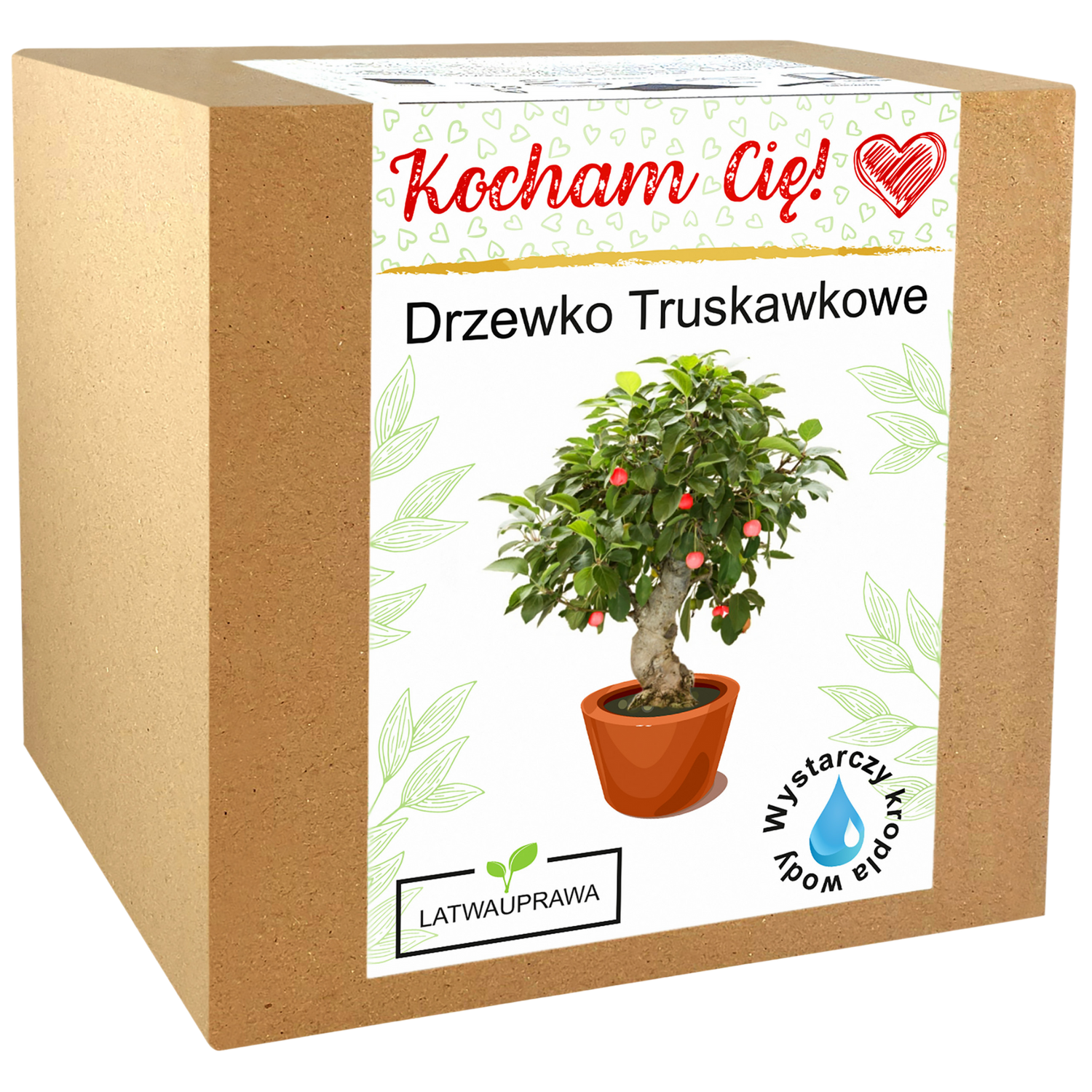 Zestaw do uprawy drzewka truskawkowego w pudełku z napisem Kocham Cię, idealny prezent dla ukochanej osoby lub na Walentynki