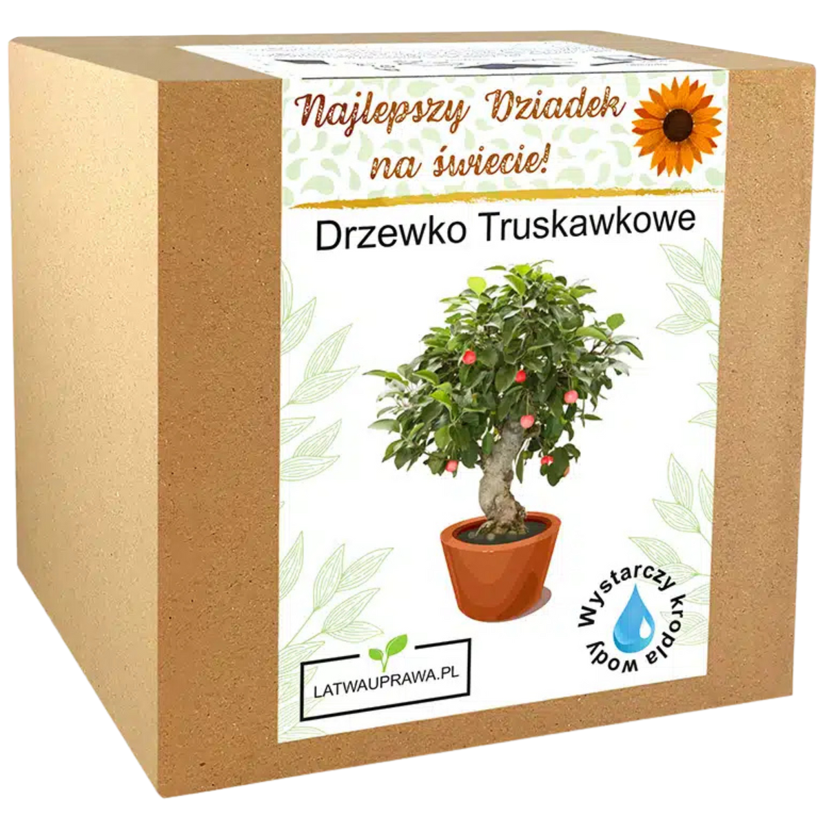 Zestaw do uprawy Drzewka Truskawkowego – idealny prezent dla najlepszego dziadka.