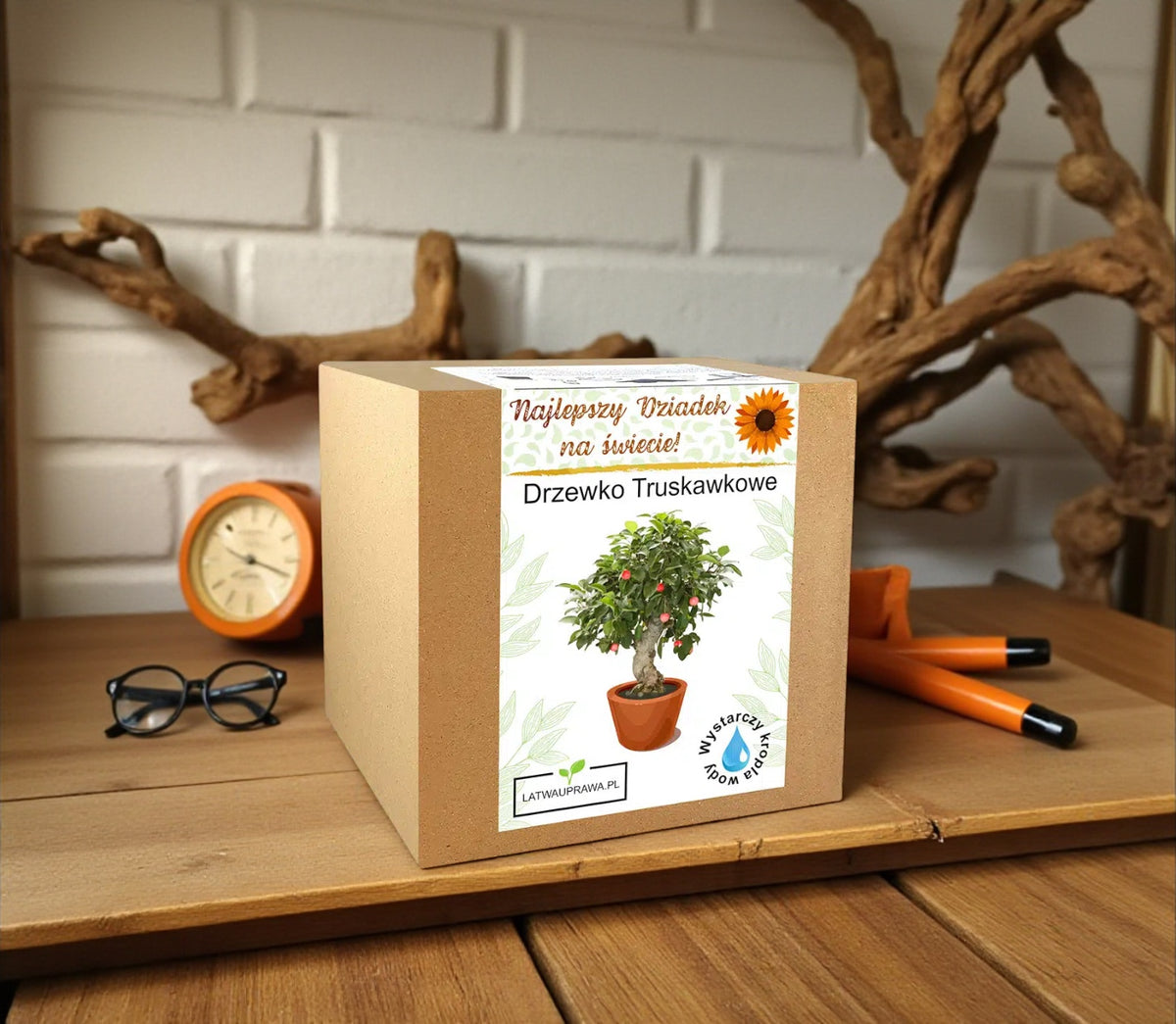 Zestaw do uprawy drzewka truskawkowego w pudełku prezentowym dla dziadka, oryginalny prezent dla miłośnika natury i roślin