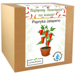 Zestaw do uprawy papryki Jalapeño – wyjątkowy prezent dla najlepszego nauczyciela.