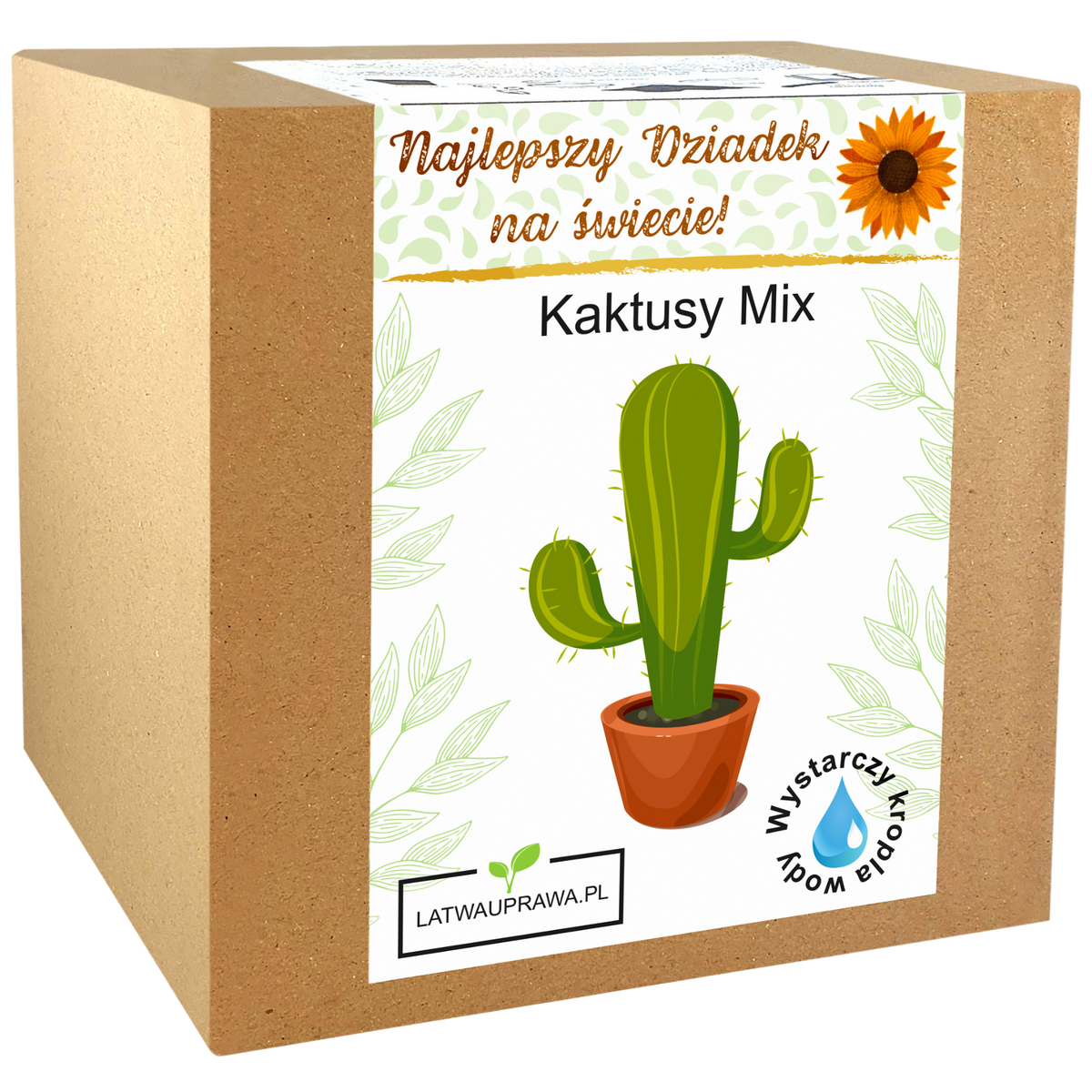 Zestaw do uprawy kaktusów Mix – zabawny i oryginalny prezent dla najlepszego dziadka.