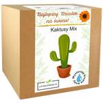 Zestaw do uprawy kaktusów Mix – zabawny i oryginalny prezent dla najlepszego dziadka.