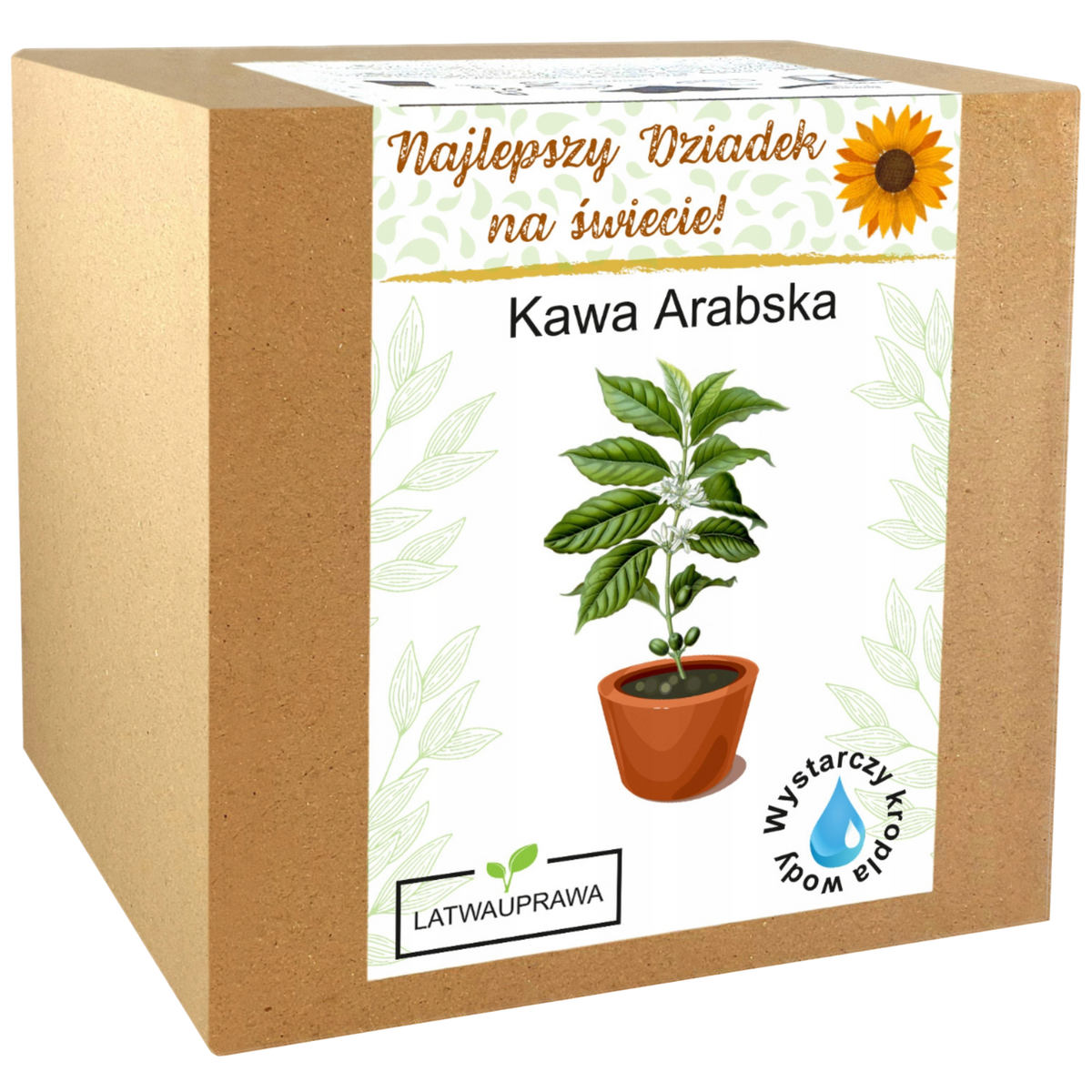 Zestaw do uprawy kawy arabskiej – oryginalny prezent dla najlepszego dziadka.