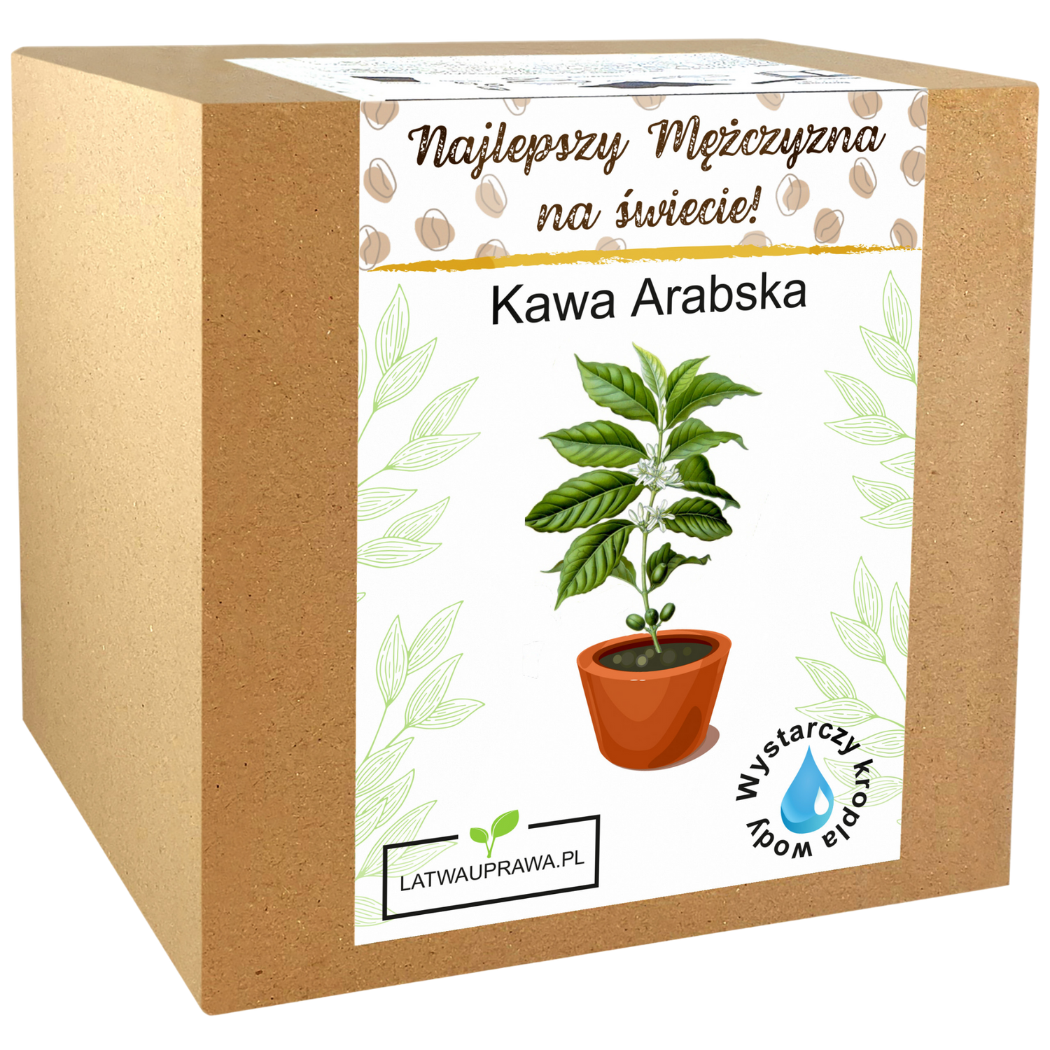 Zestaw do uprawy kawy arabskiej – idealny prezent dla najlepszego mężczyzny.