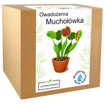 Zestaw do uprawy owadożernej muchołówki w pudełku, idealny prezent dla miłośników nietypowych i egzotycznych roślin