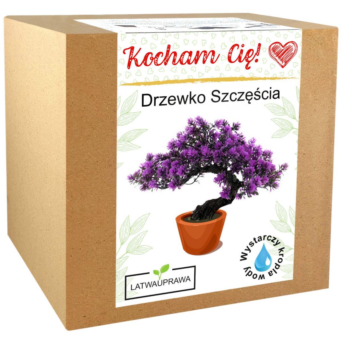 Zestaw do uprawy Drzewka Szczęścia w pudełku z napisem „Kocham Cię!” – idealny prezent dla bliskiej osoby.